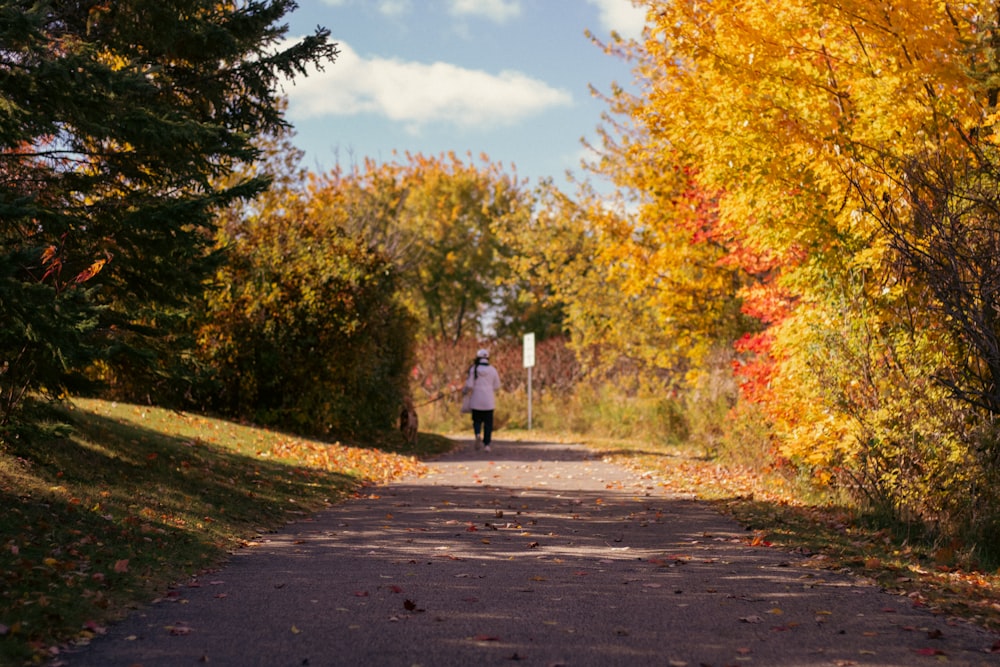 a person walking down a road in the fall