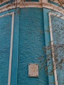 A textured teal wall with contrasting white borders, featuring a rectangular plaque with text. Sparse branches with leaves hang across the view, adding an element of natural elegance.