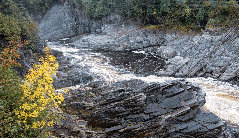 a river flowing between two large rocks next to a forest