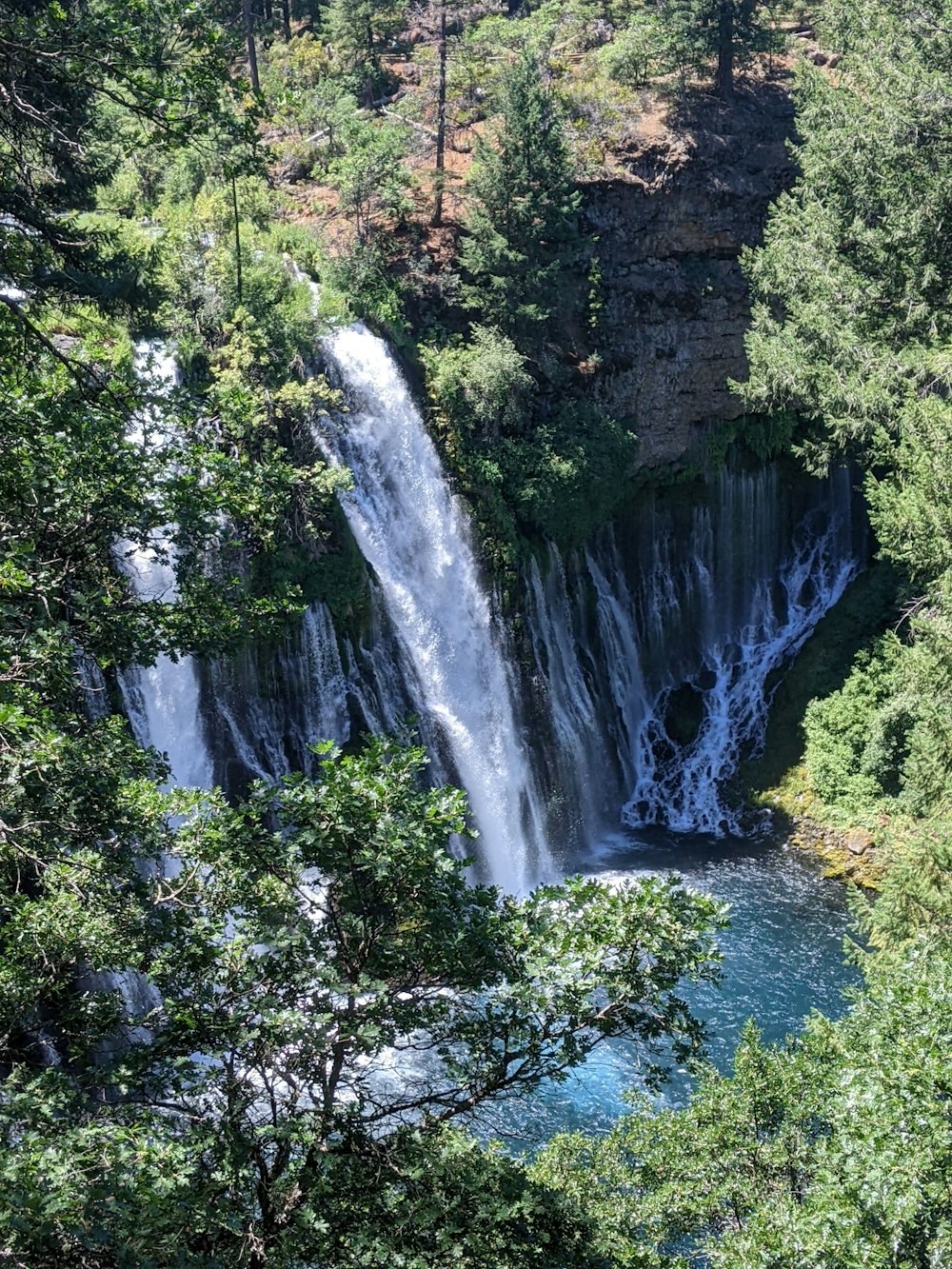 a waterfall in the middle of a forest