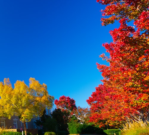 Alpharetta — furnished monthly rentals