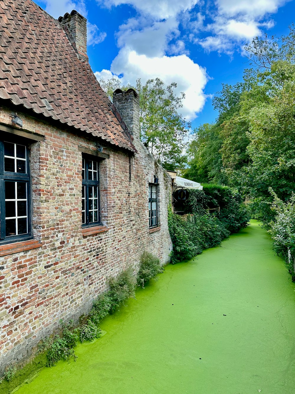 a green canal running through a brick building