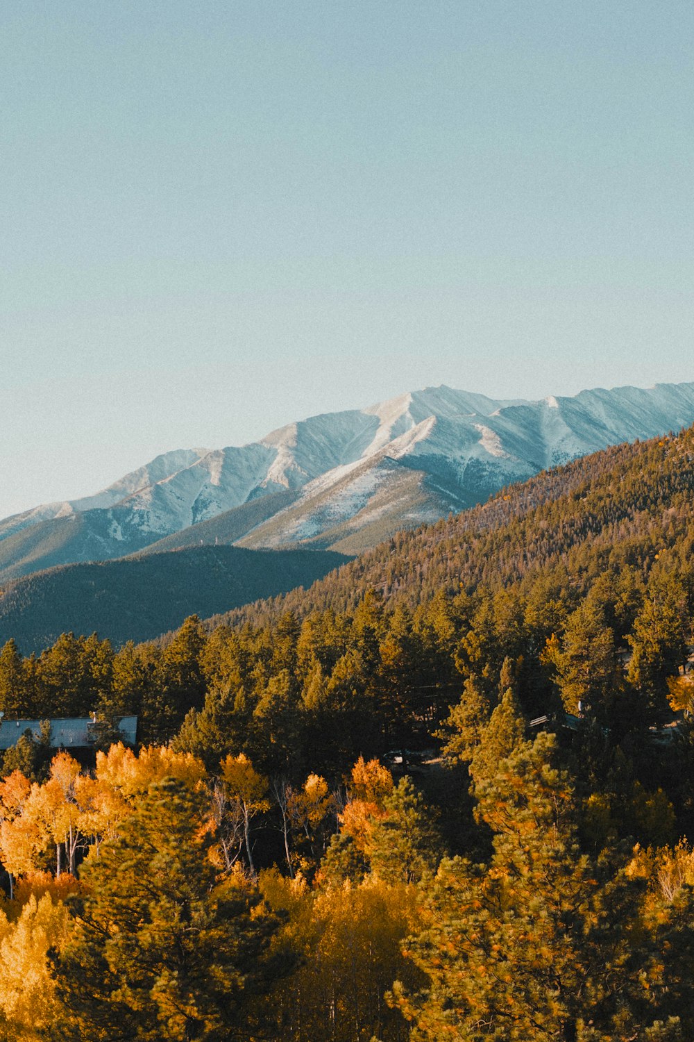 a view of a mountain range with trees in the foreground