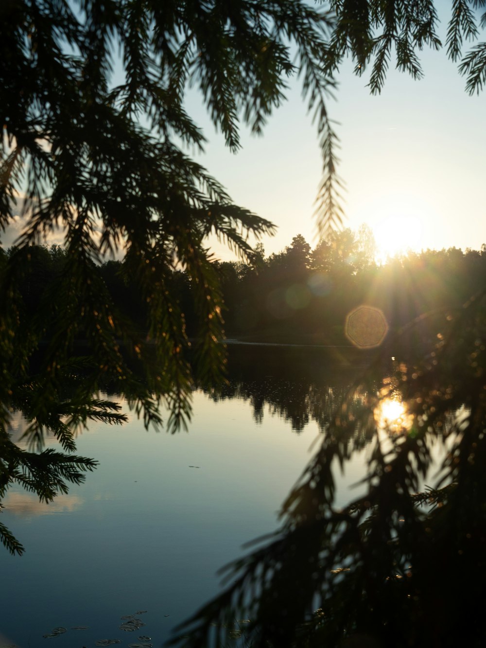 the sun is setting over a lake with trees in the foreground