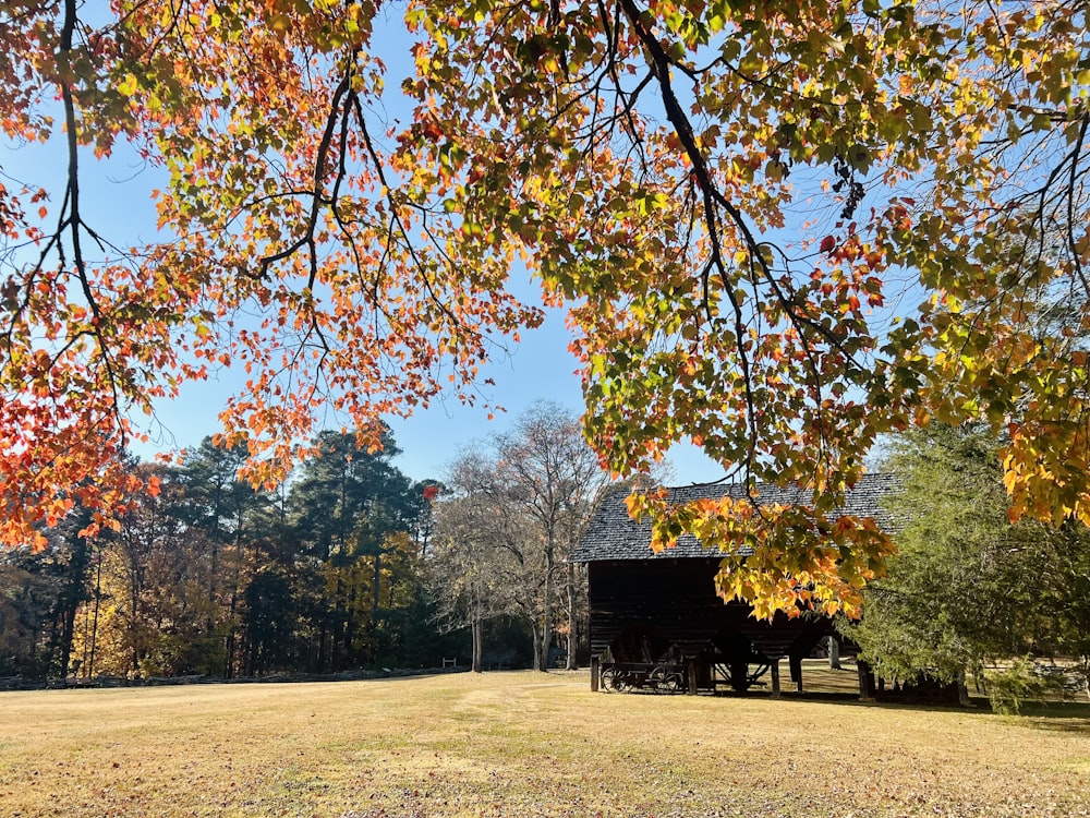 a large field with a barn in the background