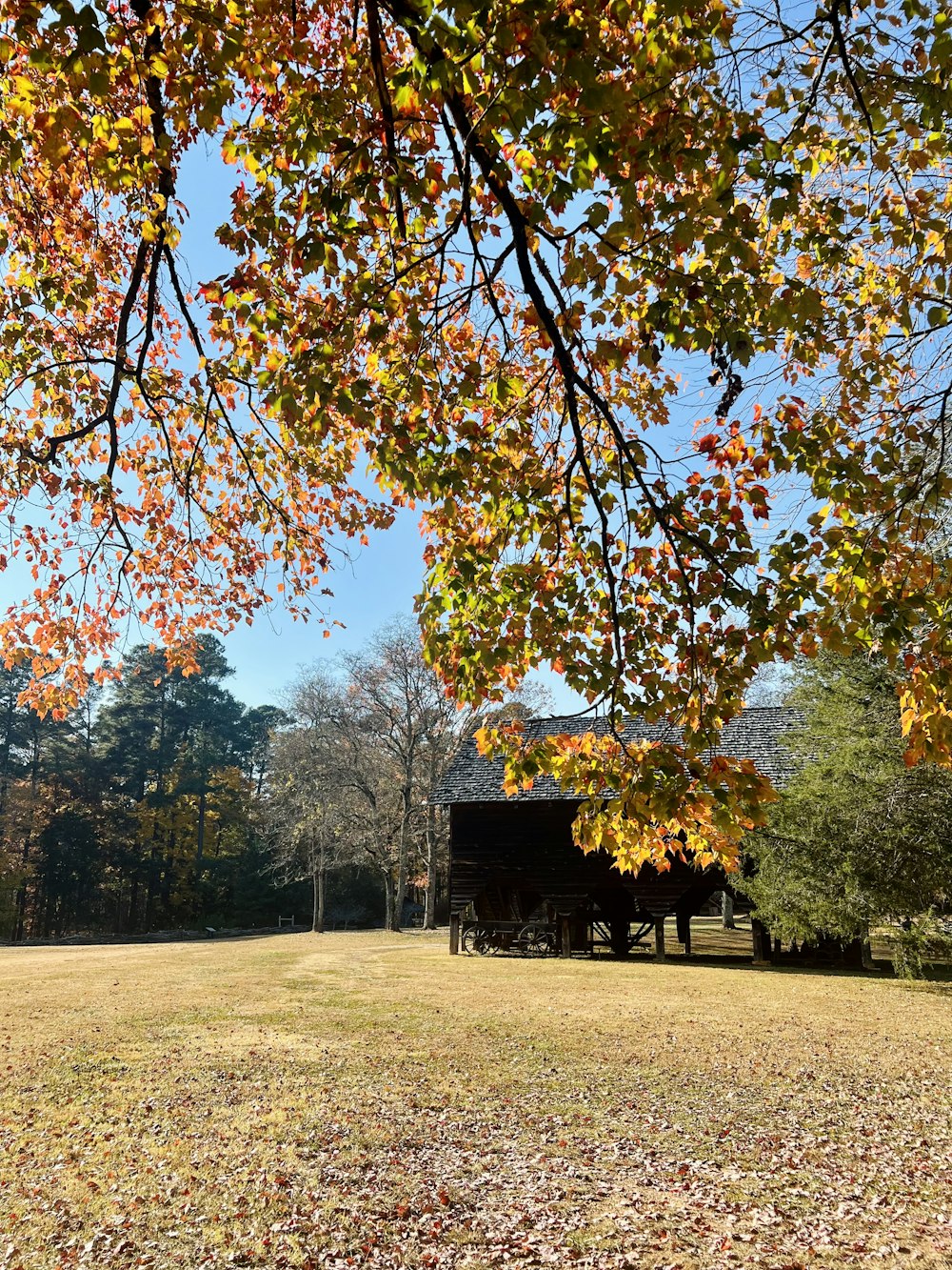 a horse drawn carriage sitting in the middle of a field