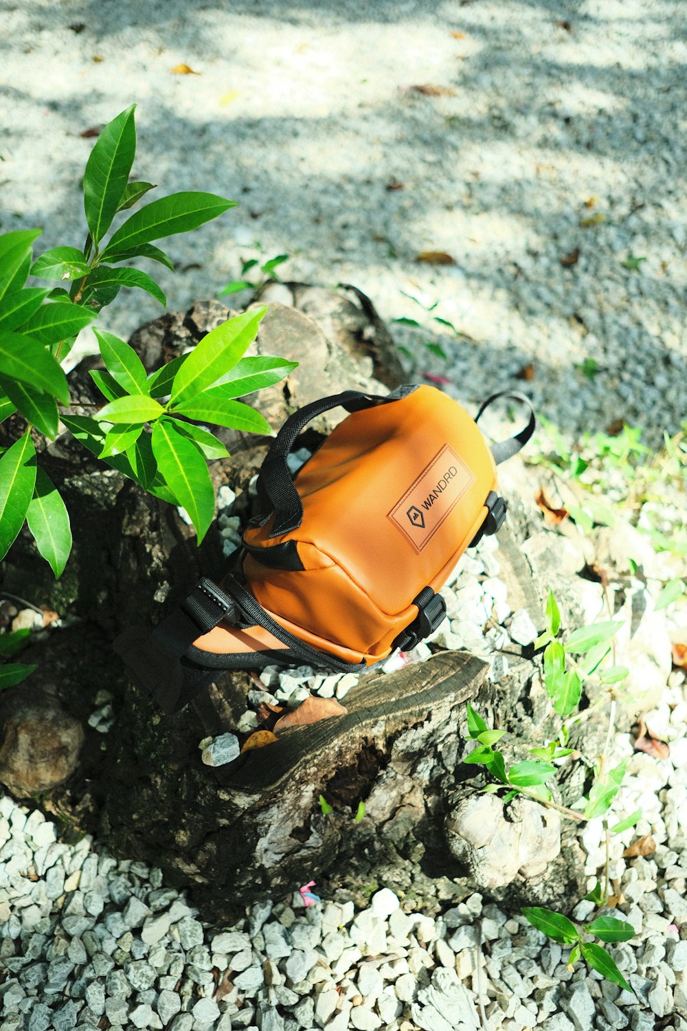 a pair of orange shoes sitting on top of a tree stump