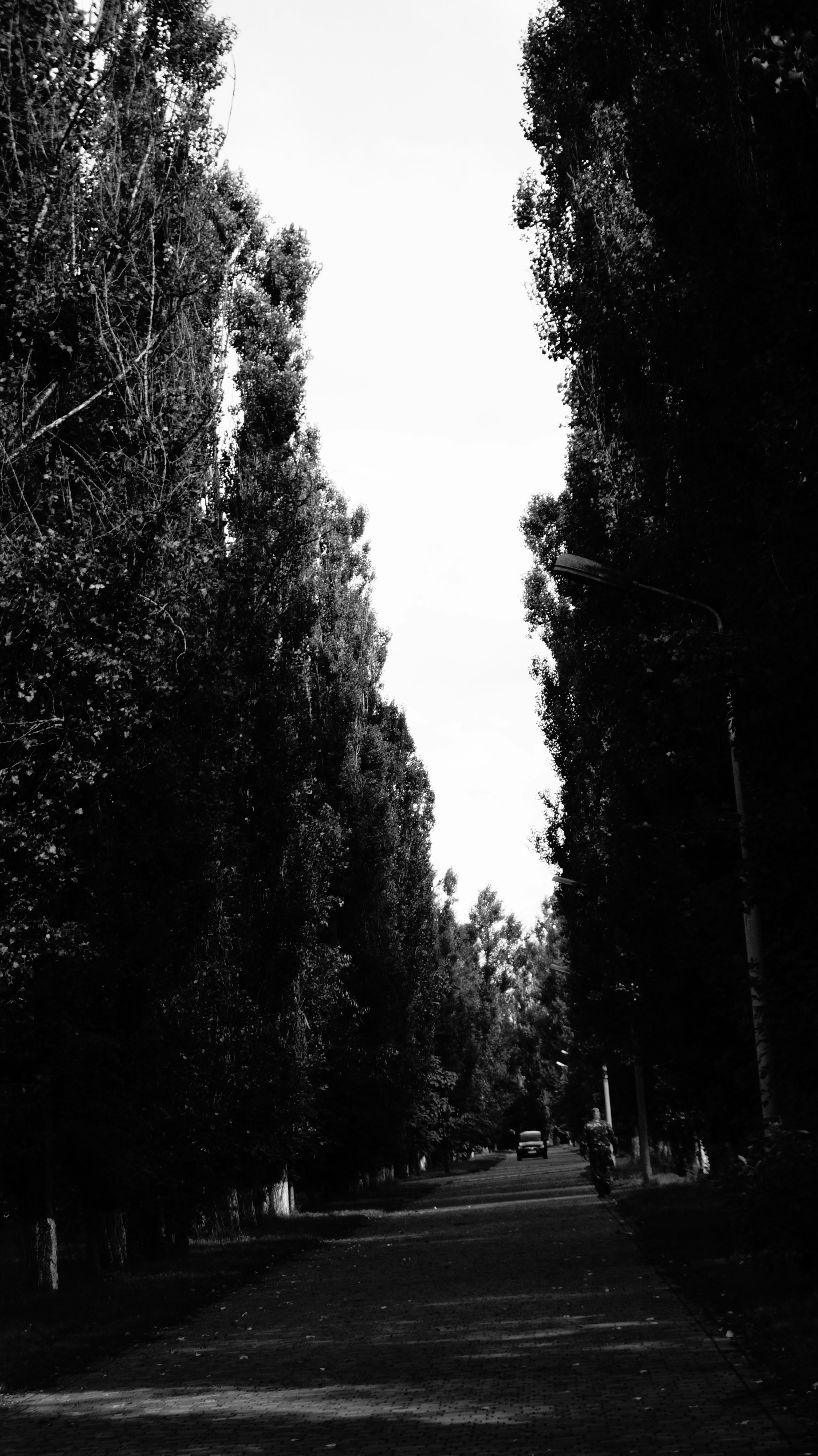 Photo by jkl28mnoamama