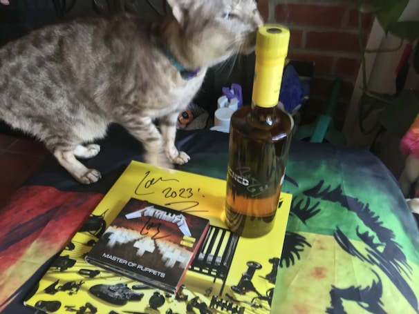 A tabby cat is positioned near a yellow-capped bottle on a table. There are several album covers including a Metallica 'Master of Puppets' album. The surface is covered with a colorful and artistic cloth.