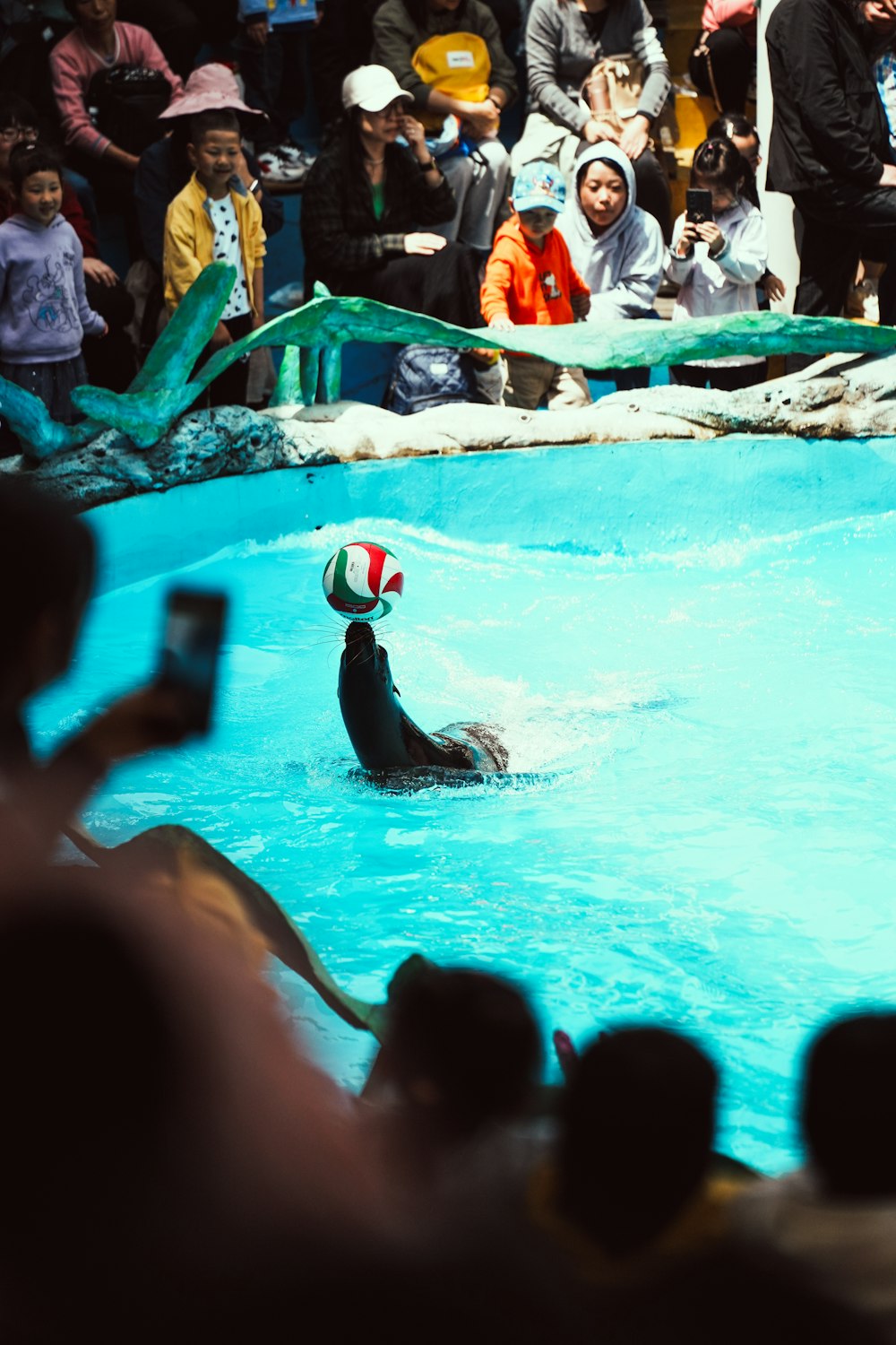 a crowd of people watching a water polo match