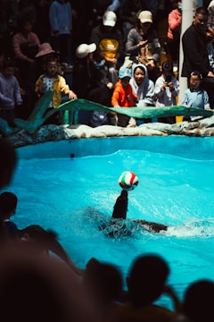 A group of children watching a dog perform rescue exercises near a pool.