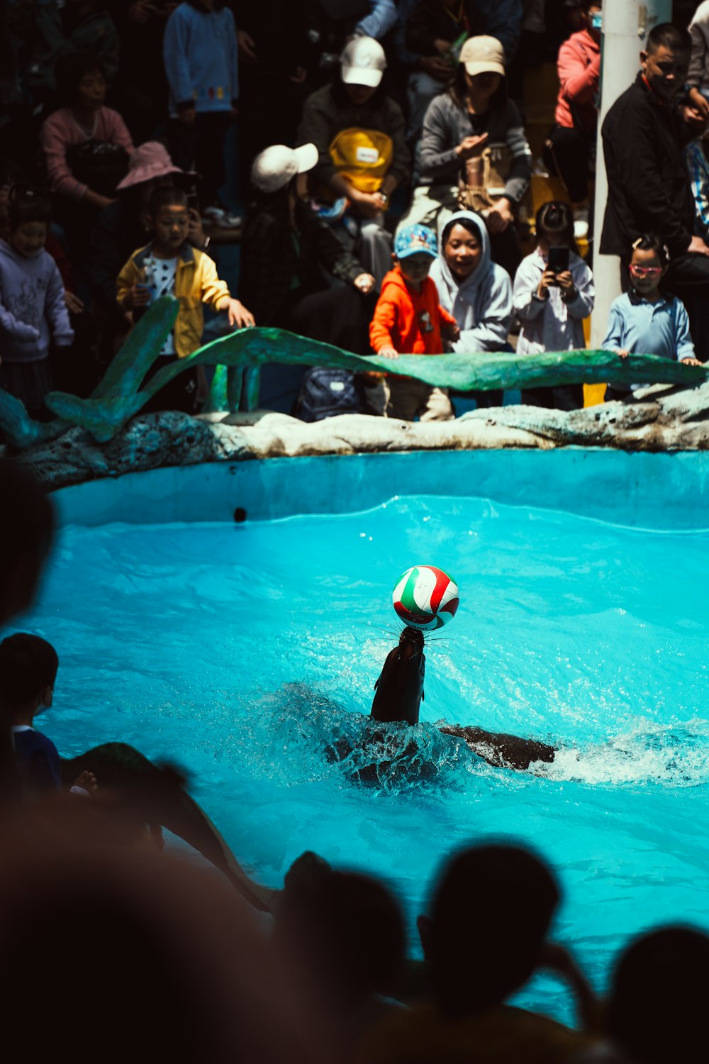 a person in a pool playing with a ball