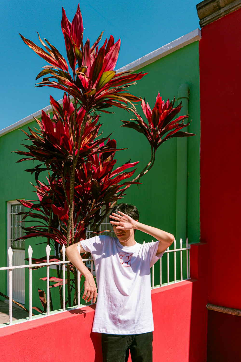 a man standing in front of a red plant