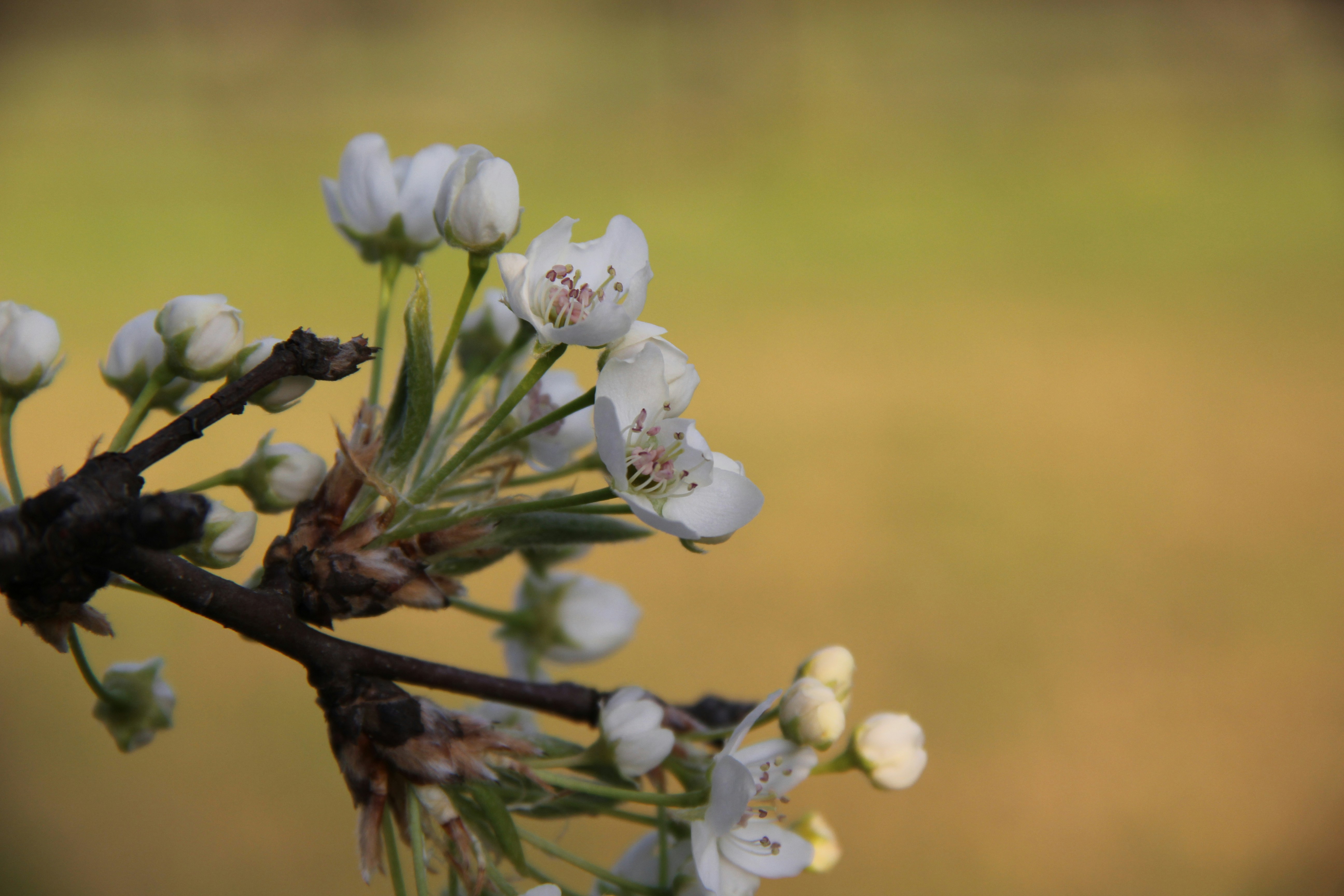 Photo by rileyrevell