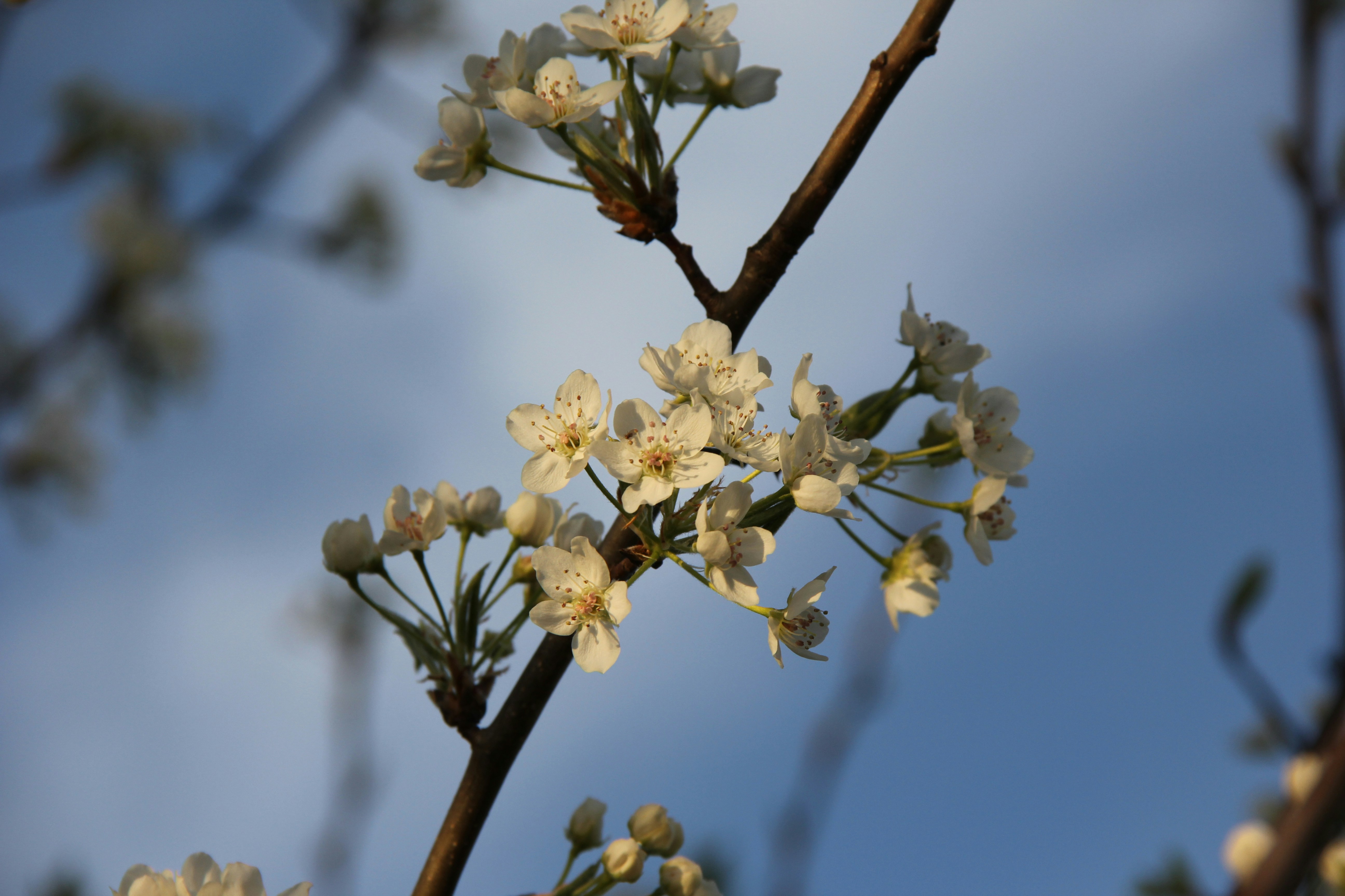 Photo by rileyrevell