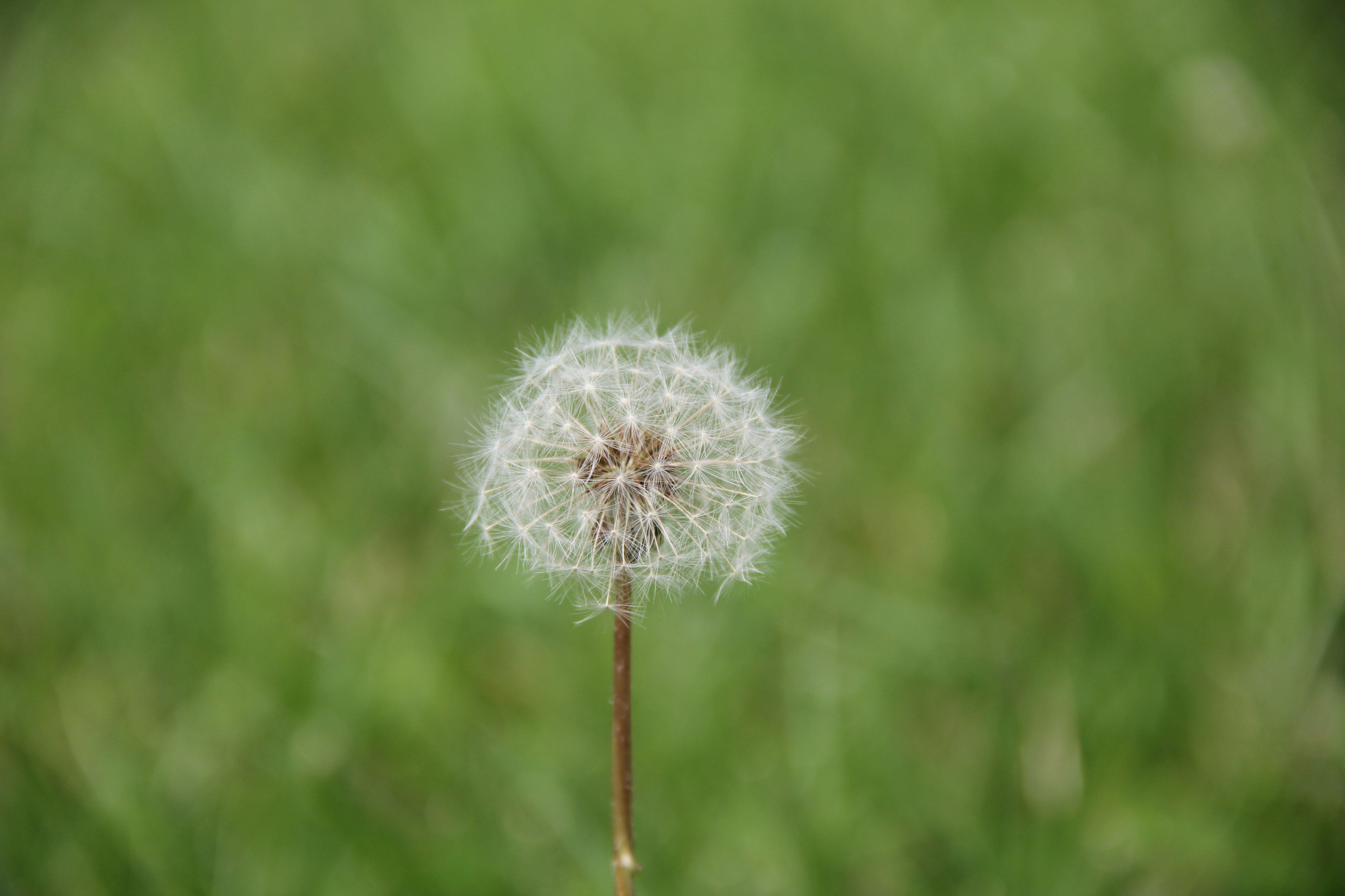 Photo by rileyrevell