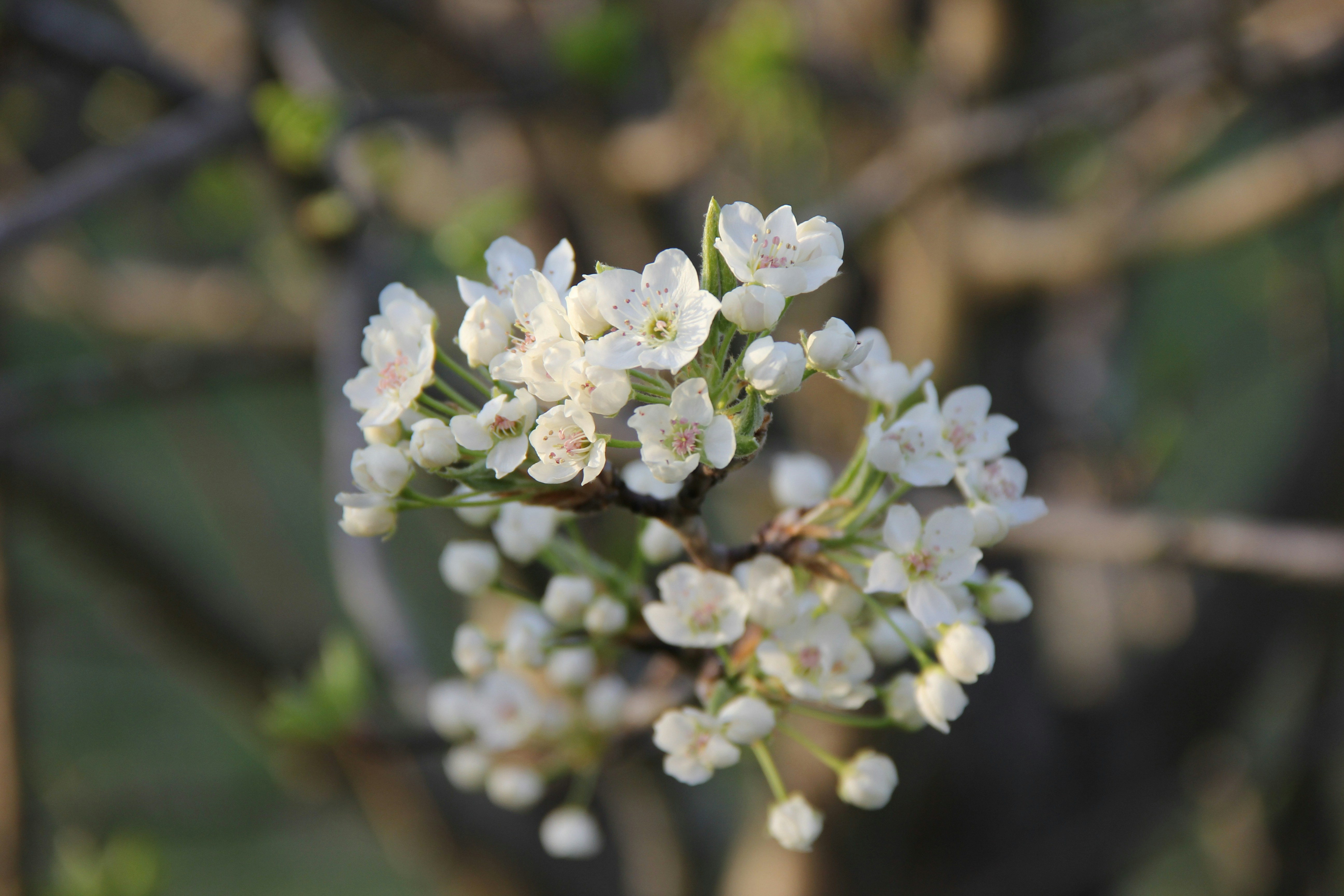 Photo by rileyrevell