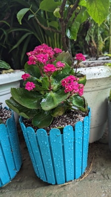 A self-watering plastic pot with vibrant flowers, perfect for easy care.