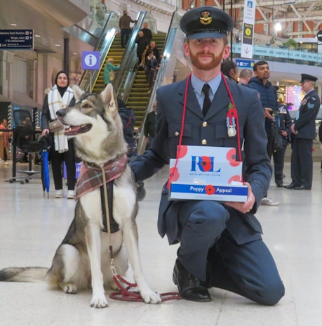 A man in a uniform kneels on the floor of a busy train station next to a large dog. The man is holding a box labeled 'Poppy Appeal' with a red poppy symbol, indicating participation in a charity event. Several people are visible in the background, along with an escalator and directional signs.