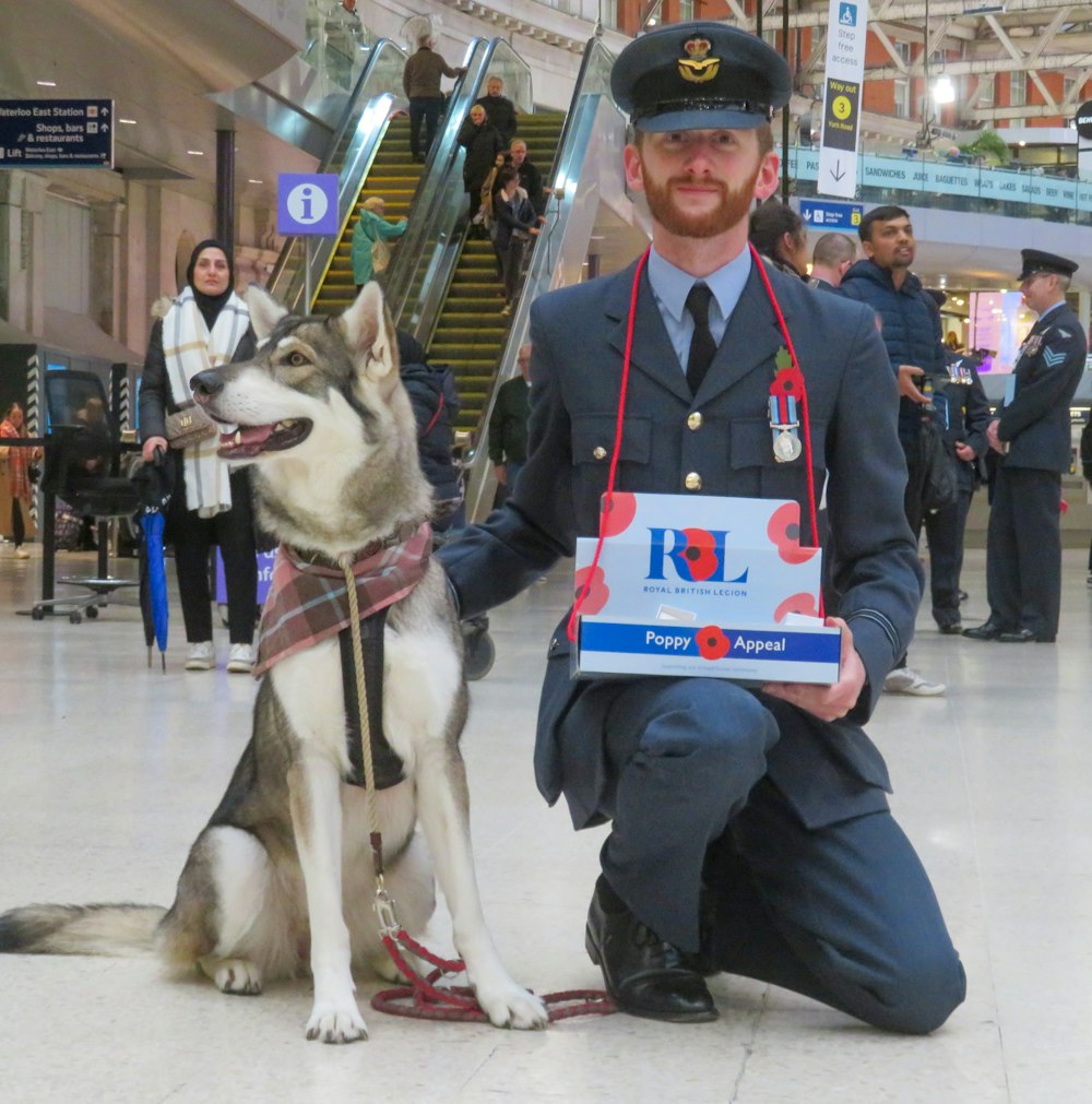 a man kneeling down next to a husky dog