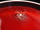 A close-up view of a red agar plate with a central colony surrounded by small bubbles or droplets, suggesting microbial growth or chemical reaction. The surface appears glossy and smooth, with a stark contrast between the vibrant red and the white colony.