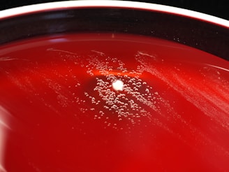 A close-up view of a red agar plate with a central colony surrounded by small bubbles or droplets, suggesting microbial growth or chemical reaction. The surface appears glossy and smooth, with a stark contrast between the vibrant red and the white colony.