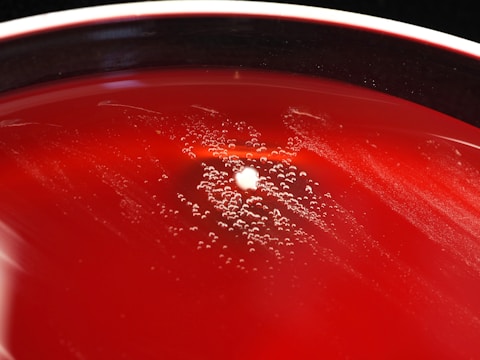 A close-up view of a red agar plate with a central colony surrounded by small bubbles or droplets, suggesting microbial growth or chemical reaction. The surface appears glossy and smooth, with a stark contrast between the vibrant red and the white colony.