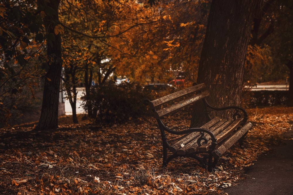 a park bench sitting in the middle of a park