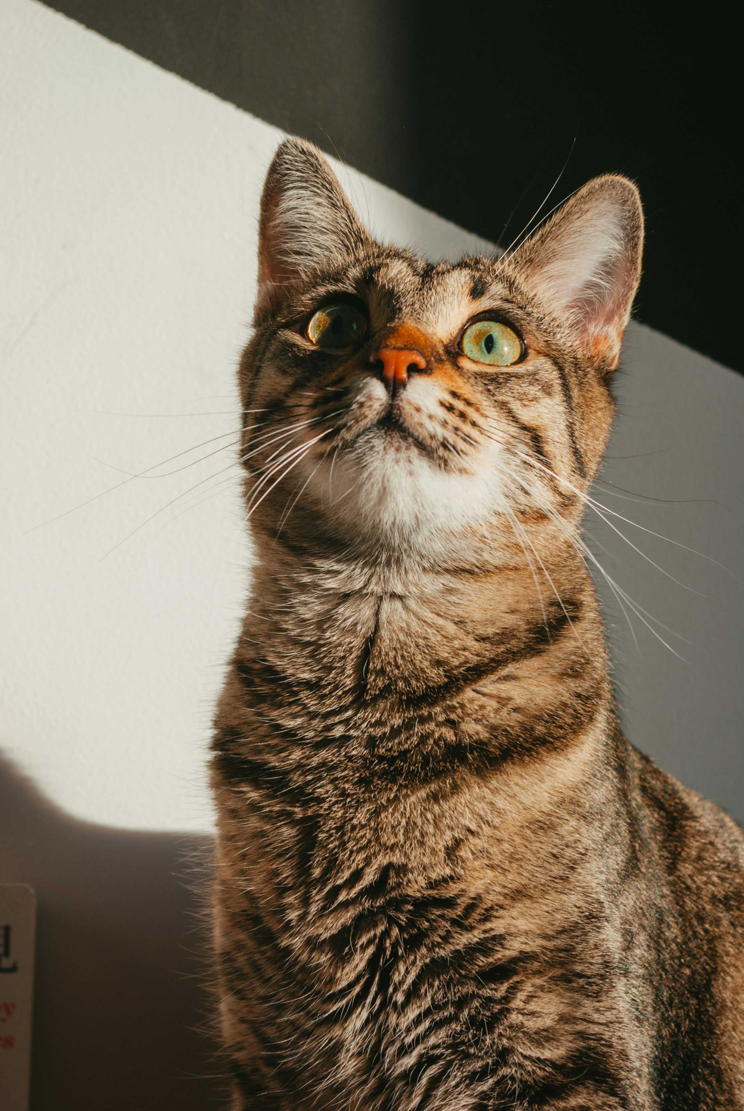 Photo by moonmoons_days