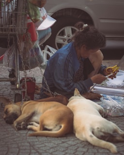 A woman with tied-back hair is sitting on the ground in a blue jacket, using scissors to cut paper. Around her are three dogs of varying brown and white colors, sleeping close together on the pavement. Behind her is a shopping cart filled with bags, chains, and assorted items. A parked car is partially visible in the background.