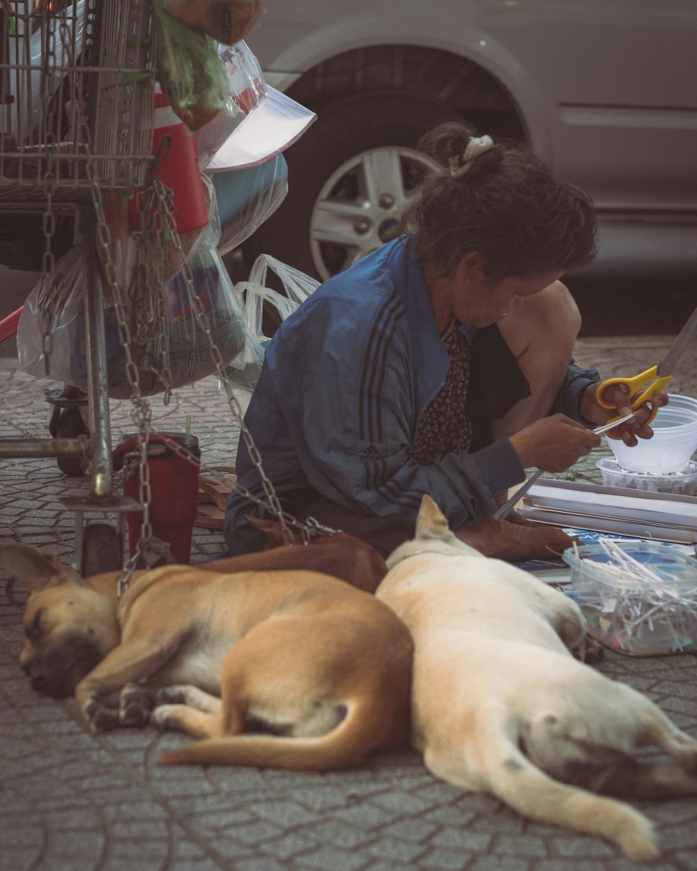 a woman sitting on the ground next to two dogs