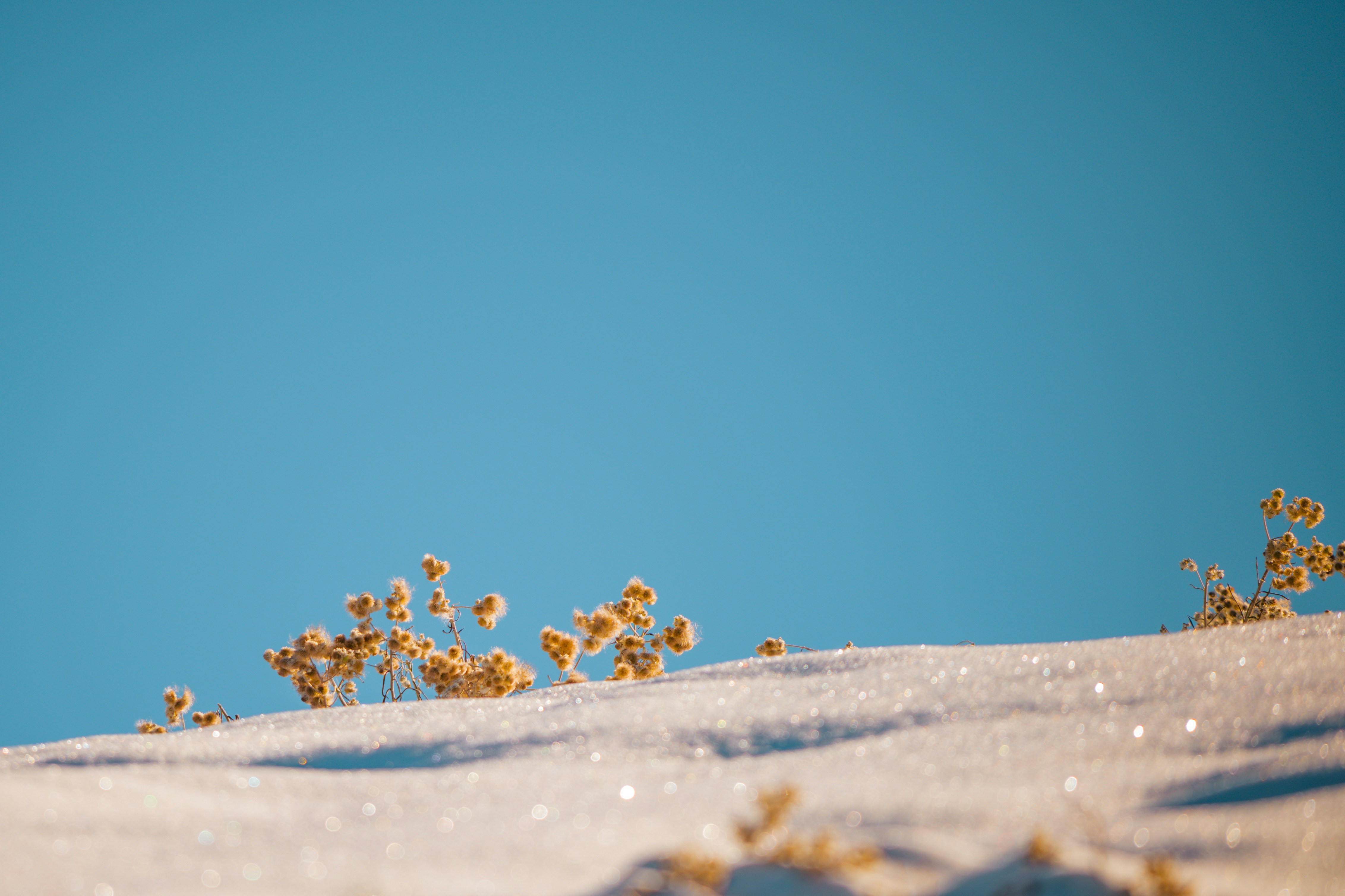 a person riding a snowboard down a snow covered slope