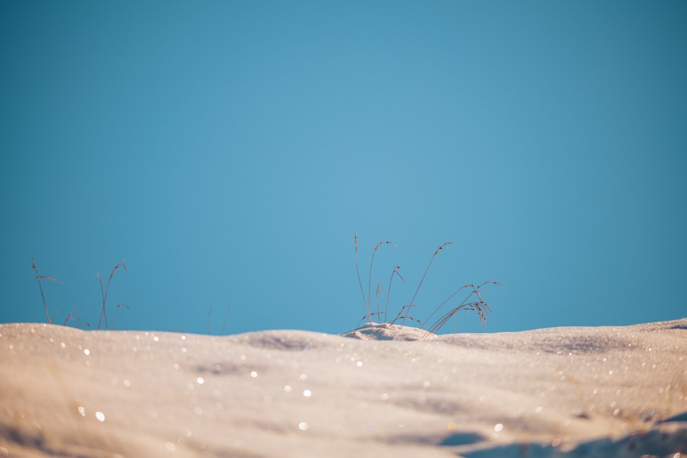 a blue sky and some white sand and water