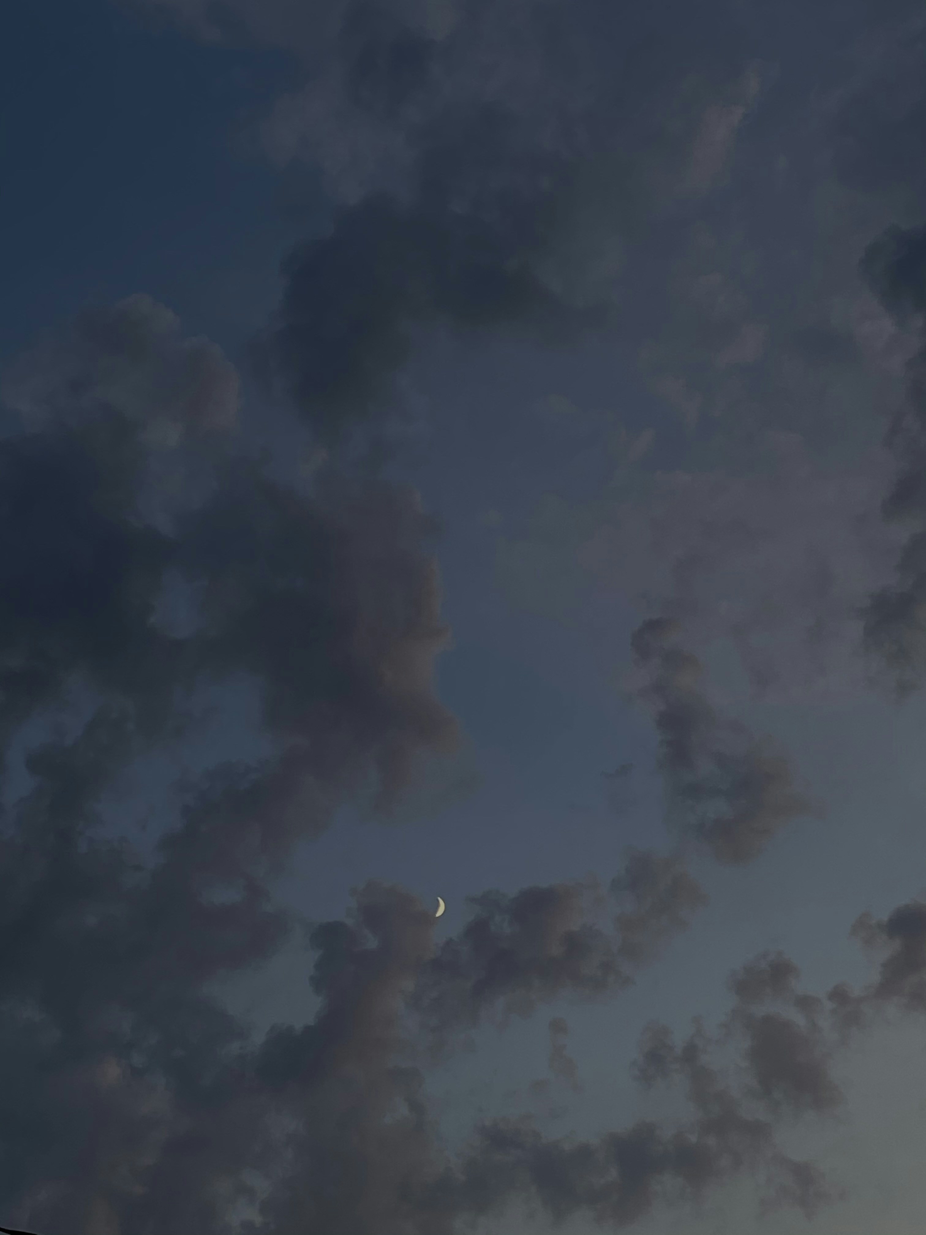 Photo by photosforyoursite