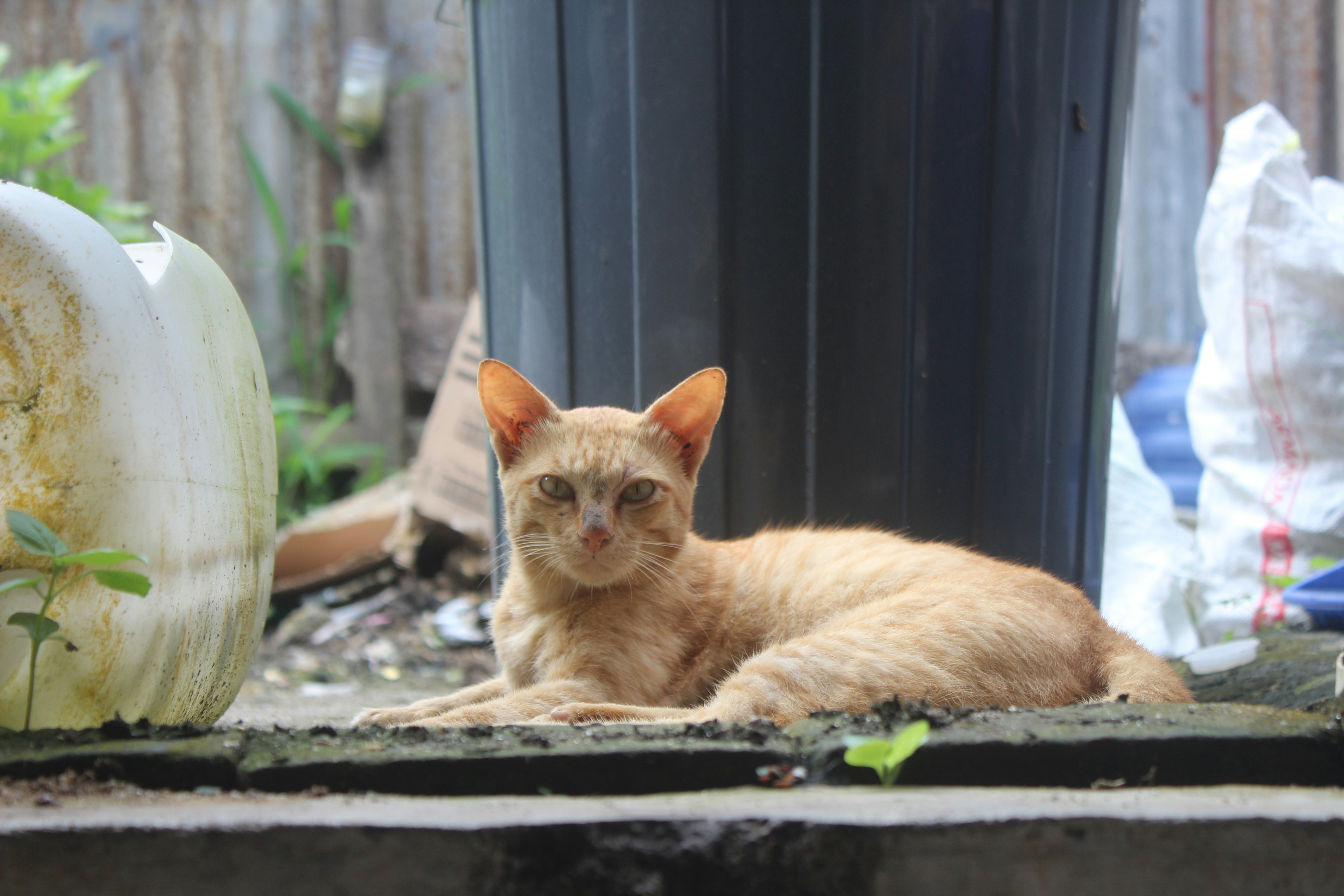 Photo by rizkisaputra020620