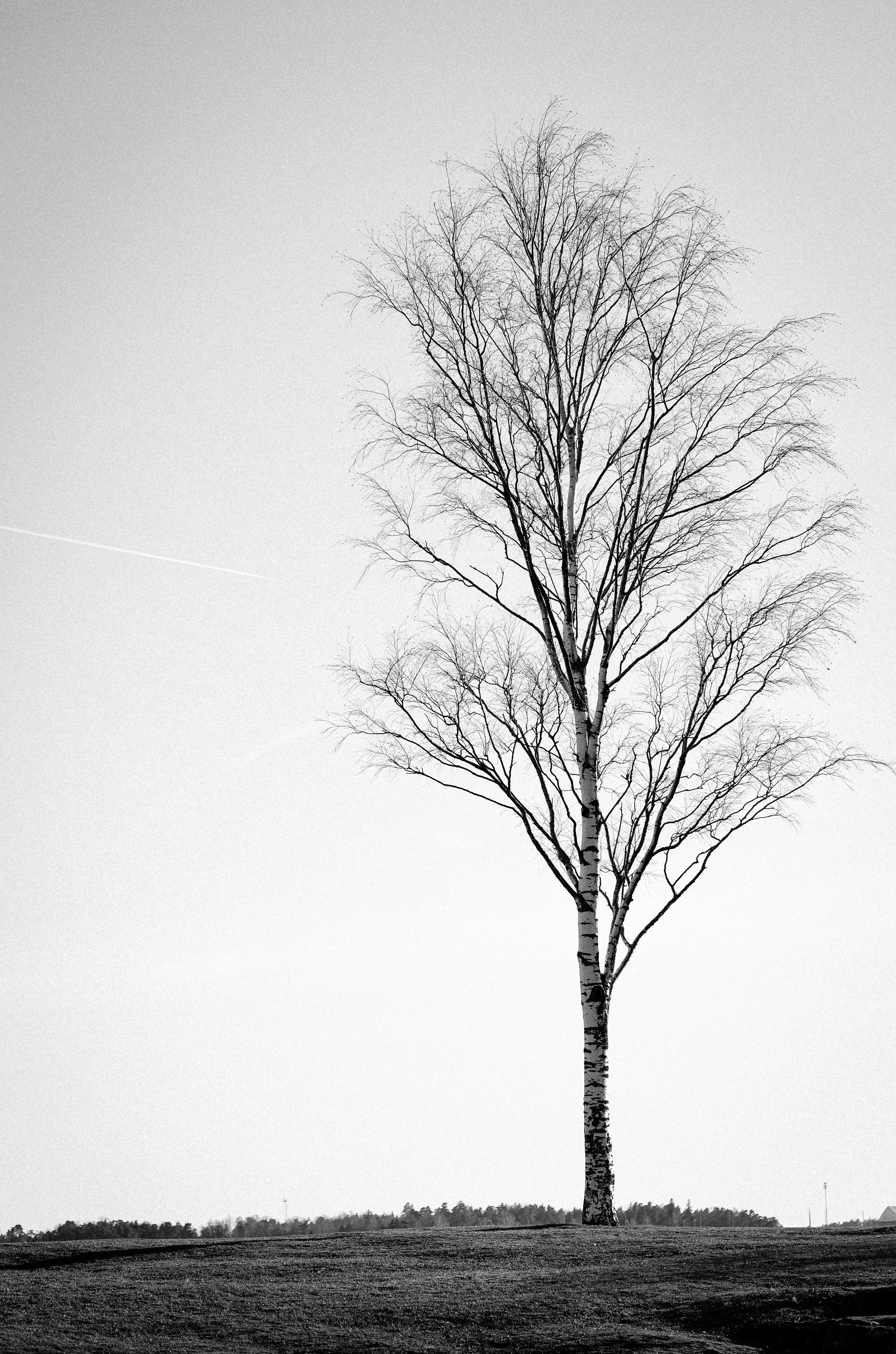 Photo by feodorchistyakov