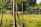 A rural landscape with a herd of cows grazing in a fenced area. There is a rustic wooden shed in the background, surrounded by lush greenery and trees. Sunlight filters through the leaves, creating a peaceful and serene atmosphere.