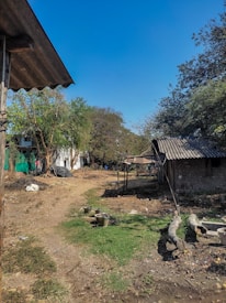 The image depicts a rural outdoor scene with a dirt pathway leading through a modest homestead. On the left, part of a corrugated roof is visible, attached to a wooden structure. Various trees and bushes populate the area, providing some greenery. Towards the center and right, there are multiple metal buckets and several logs lying on the ground. Structures with corrugated iron roofs suggest farm buildings or storage. The sky is clear and blue, and the overall environment seems quiet and rustic.