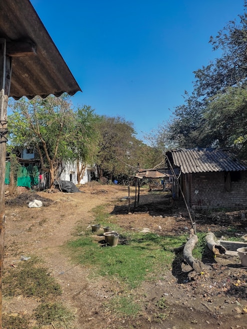 The image depicts a rural outdoor scene with a dirt pathway leading through a modest homestead. On the left, part of a corrugated roof is visible, attached to a wooden structure. Various trees and bushes populate the area, providing some greenery. Towards the center and right, there are multiple metal buckets and several logs lying on the ground. Structures with corrugated iron roofs suggest farm buildings or storage. The sky is clear and blue, and the overall environment seems quiet and rustic.