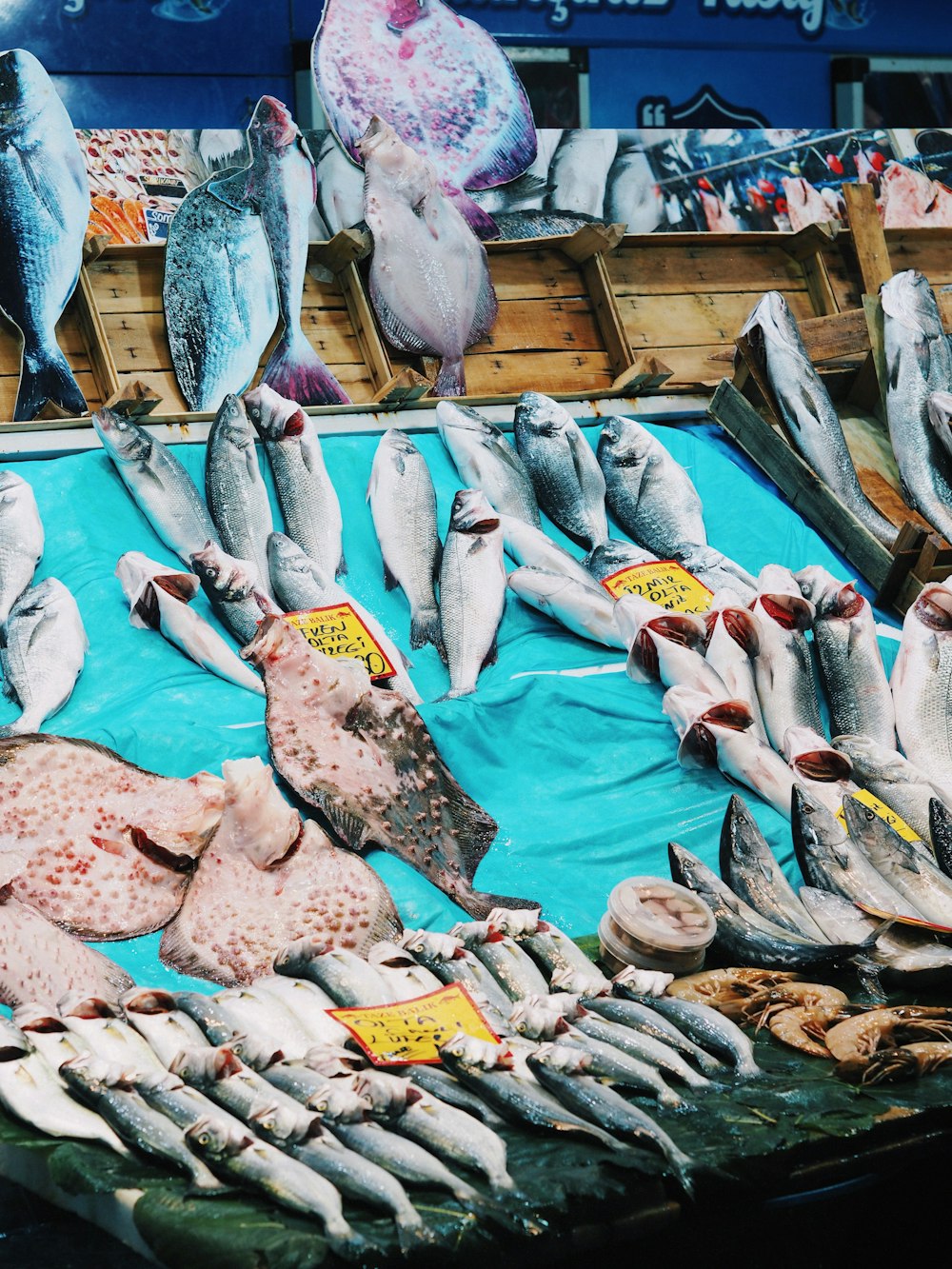 a bunch of fish that are on a table