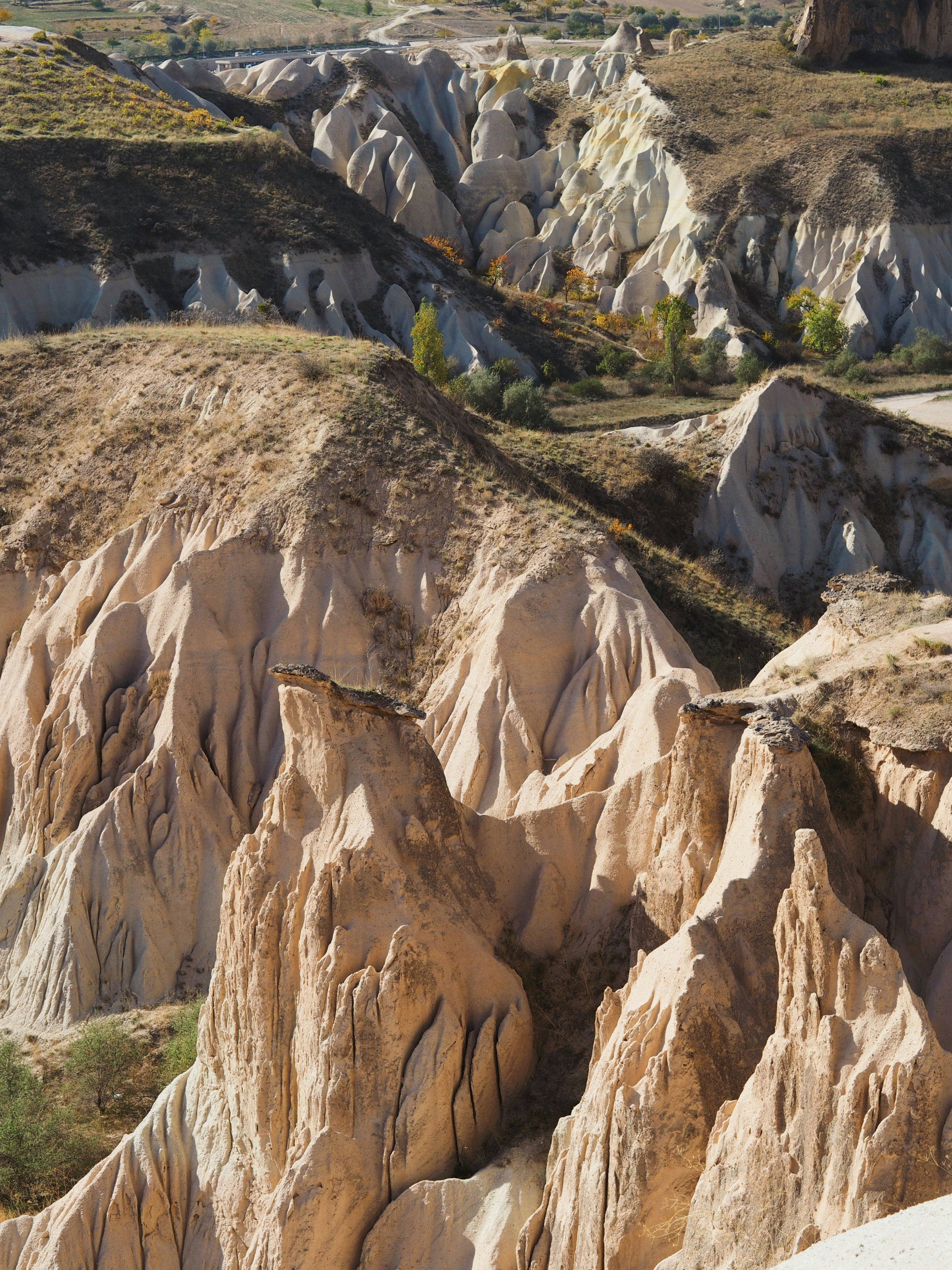 Photo by chloe_lefleur