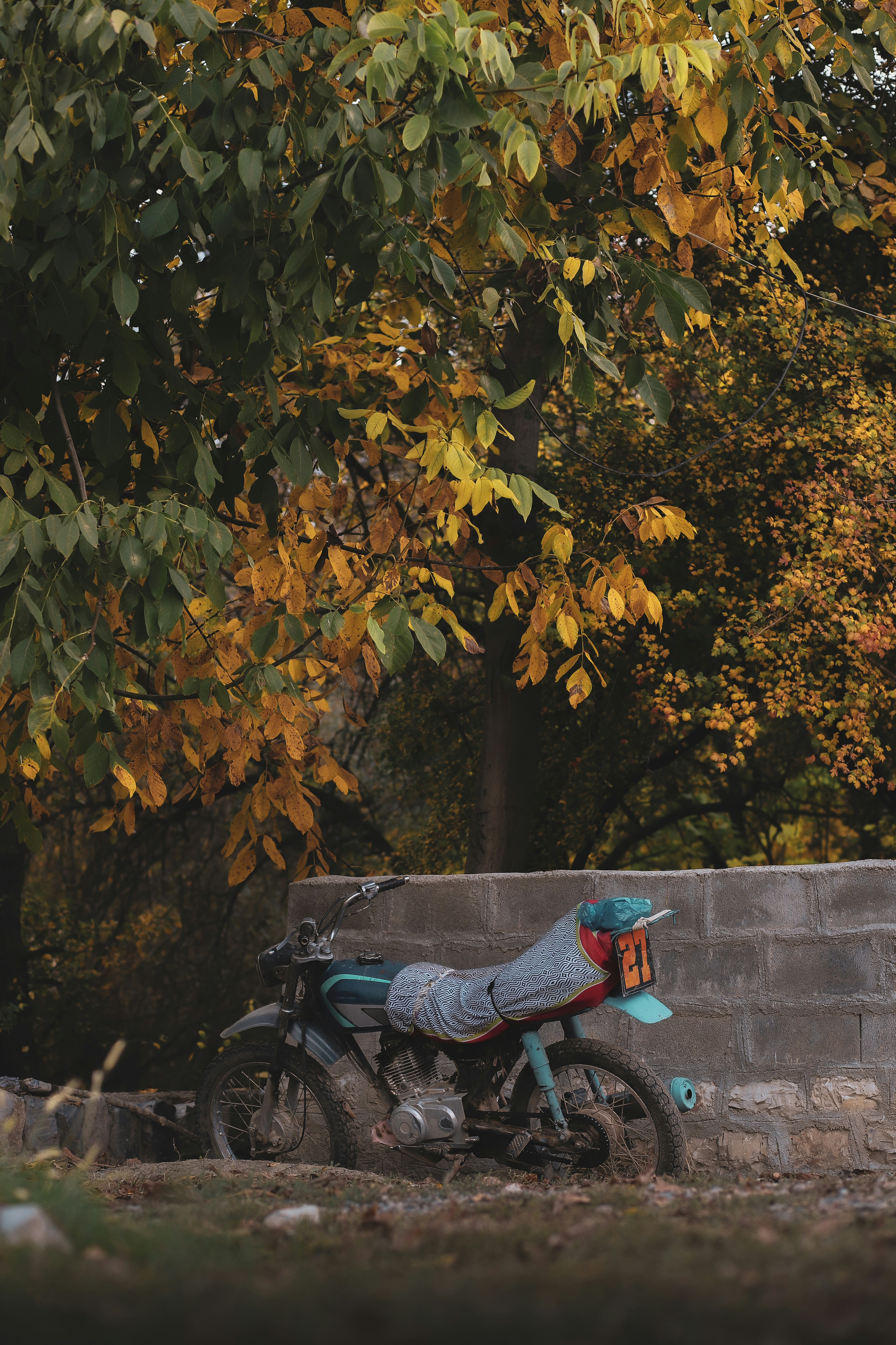 Photo by sabahmoradiii