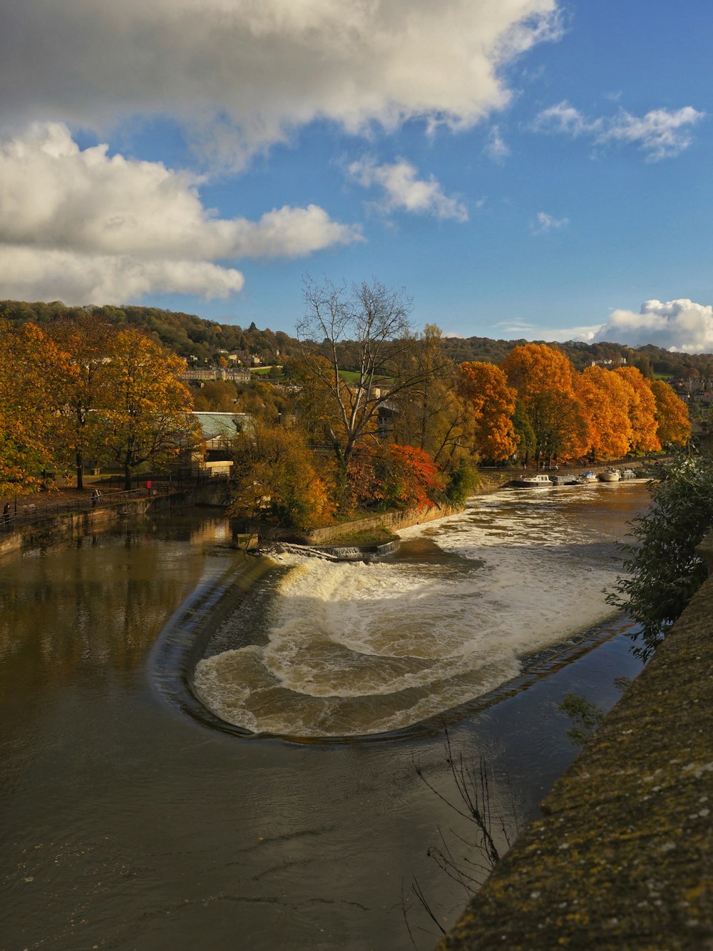 Ein Fluss, der durch einen üppigen grünen Wald fließt