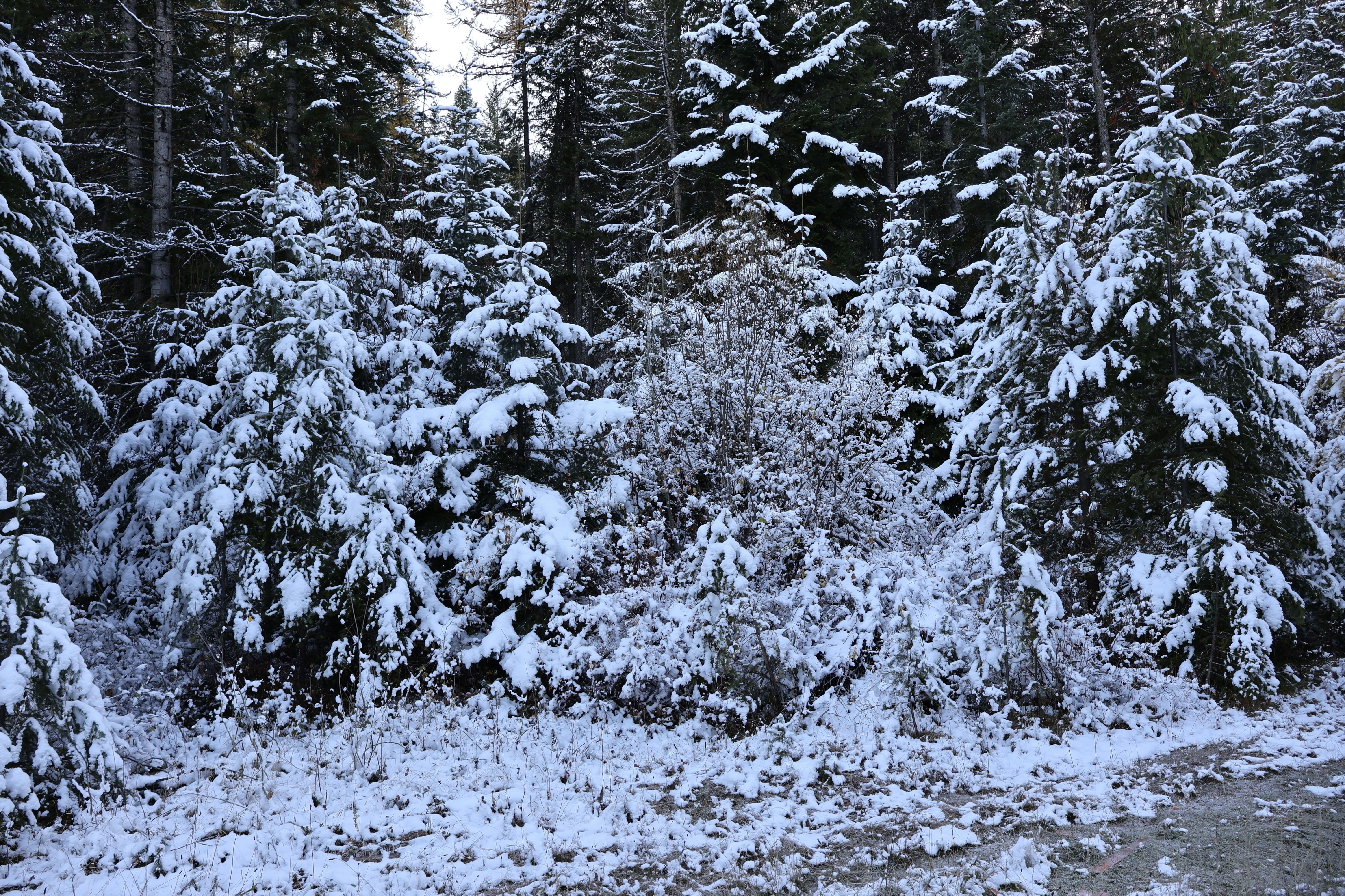 Photo by mission_pilot