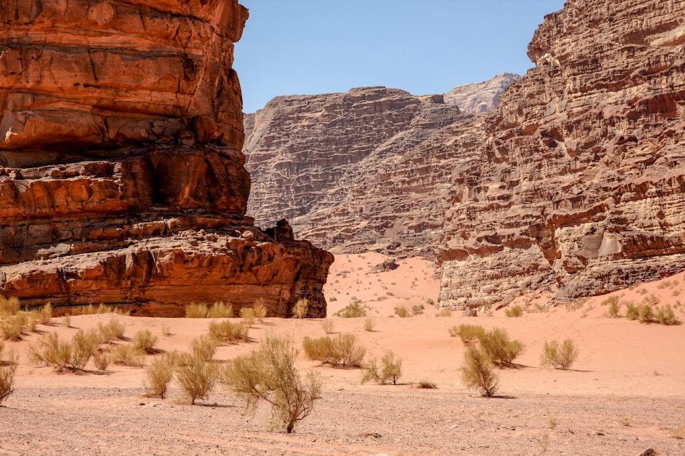 a desert area with a mountain in the background