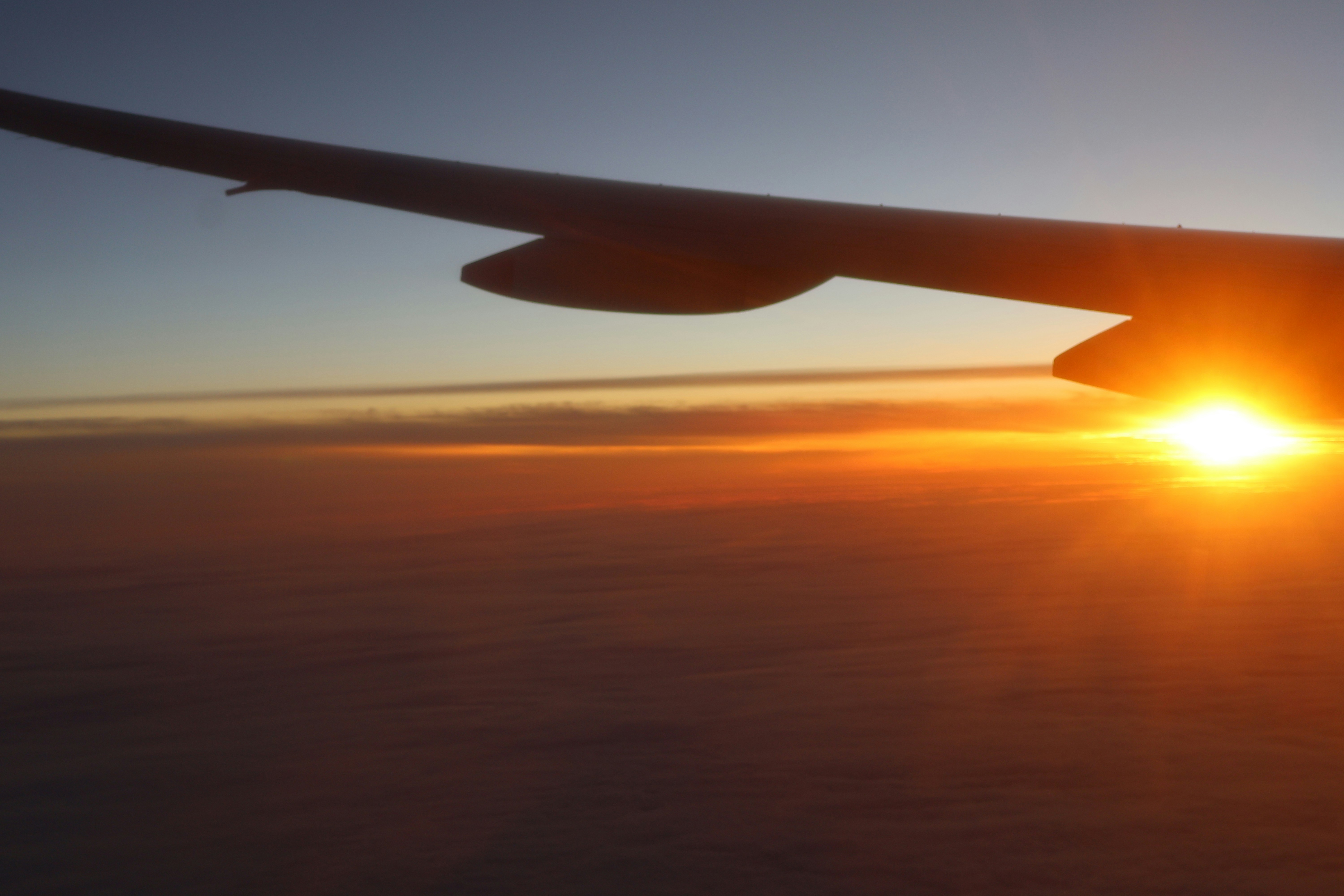 Book Your Flight