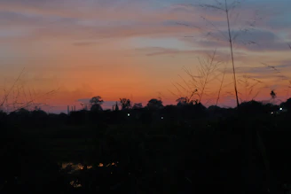 A serene Nairobi landscape at sunset with soft blue and orange hues reflecting calm and hope.