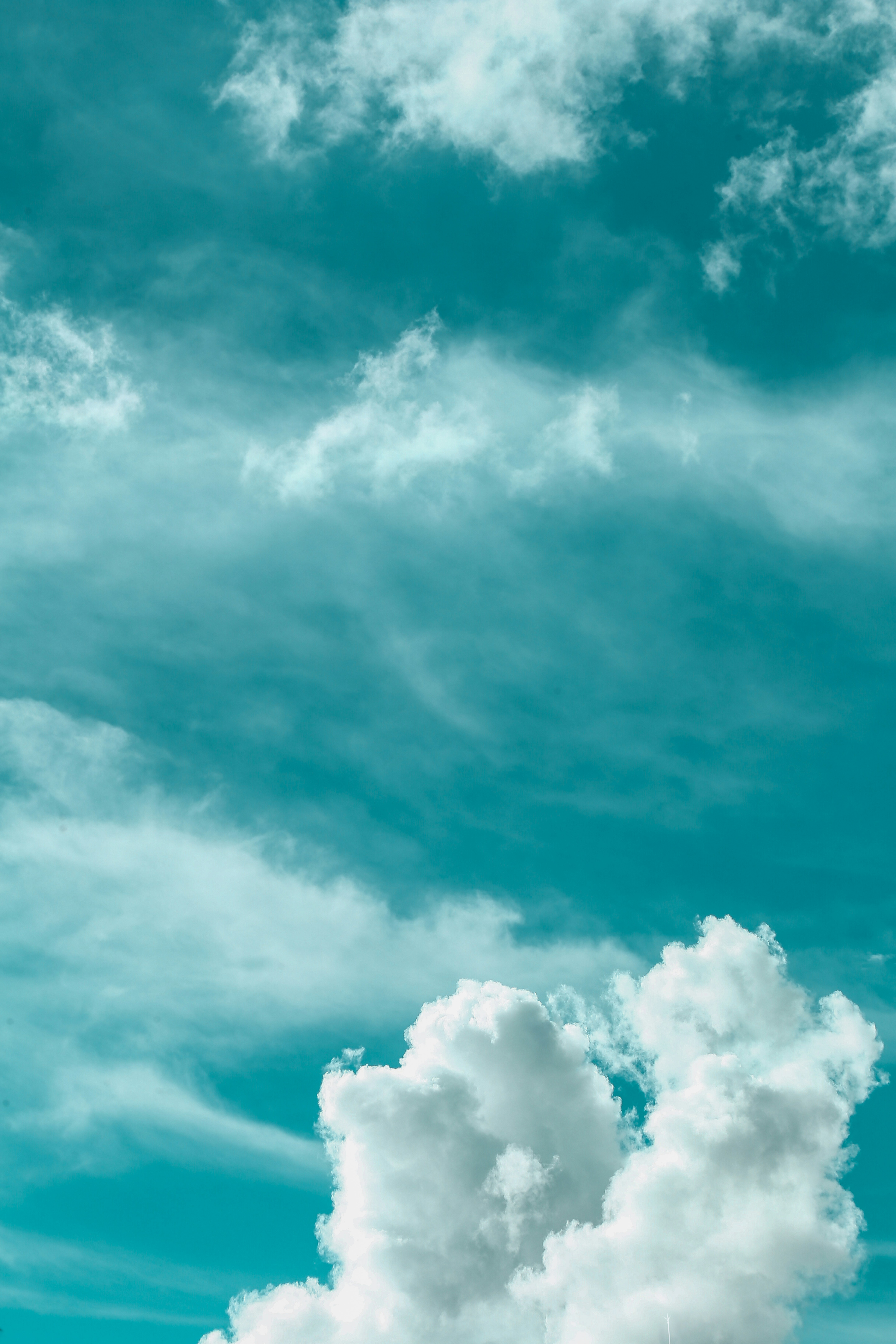 Photo by stevecameup