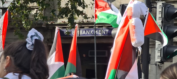 The image captures a scene with multiple flags of red, green, white, and black colors being waved in front of a building. People are visible with their backs to the camera. The building has a sign that reads 'Embankment'. There are also traffic lights and trees in the background.