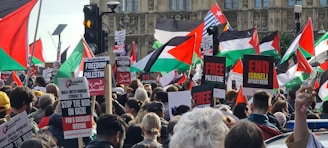 A large group of people are gathered in a protest, holding various signs and flags predominantly featuring red, black, green, and white colors. The banners and placards contain political messages supporting Palestine, demanding to end Israeli apartheid, and advocating for freedom. The protest takes place in an urban setting with stone buildings visible in the background.
